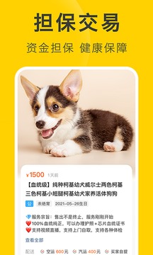 買只寵物截圖