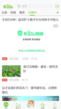 紫金山新聞截圖