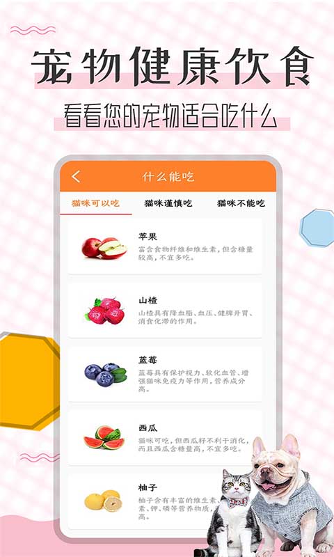 猫语翻译宝v1.2.1截图1