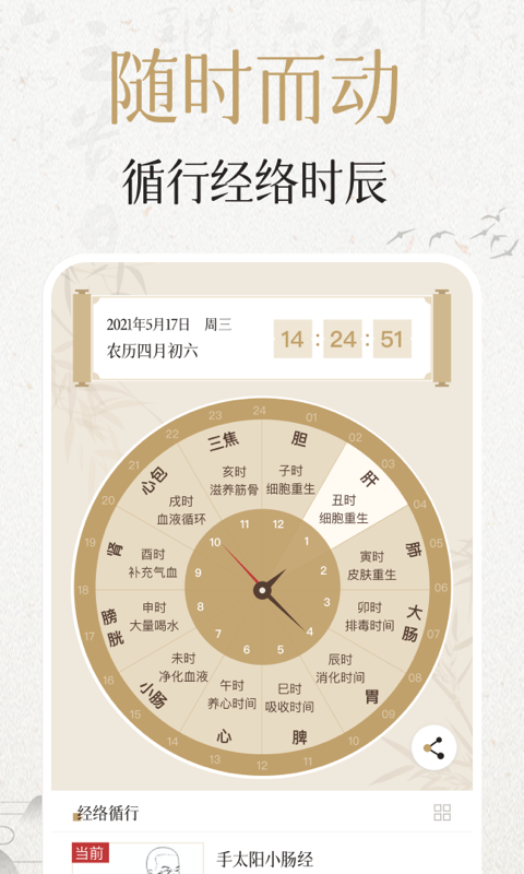 中濟經(jīng)絡(luò)穴位截圖預覽