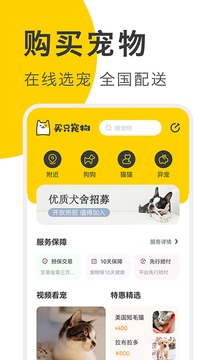 買只寵物截圖