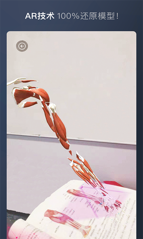 維薩里3D解剖截圖預覽