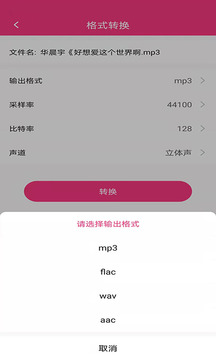 智能音頻提取器截圖