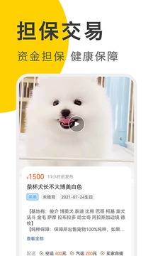 買只寵物截圖