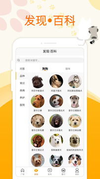 萌宠大陆应用截图1