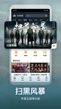 央視頻截圖