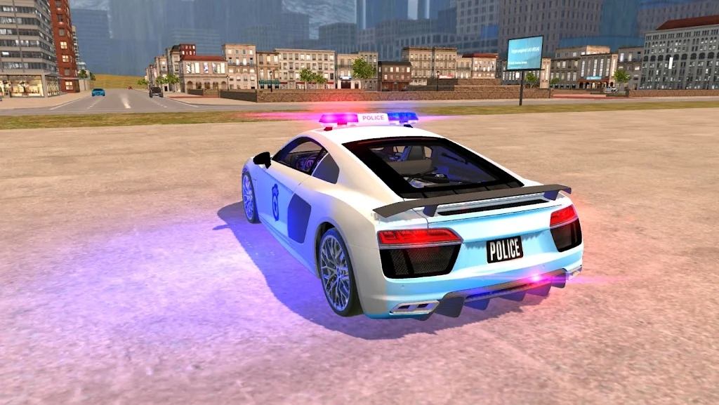 R8警察2021截图3