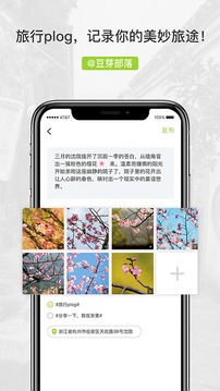 豆芽部落截圖