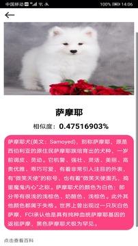 拍照識物截圖