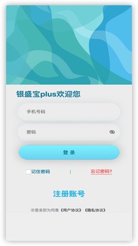 銀盛寶Plus截圖