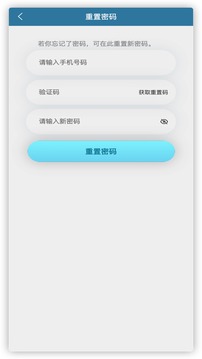 銀盛寶Plus截圖