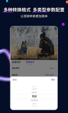 視頻格式轉(zhuǎn)換工具截圖
