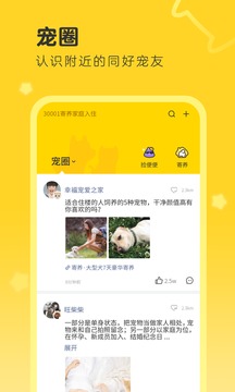 句苗島截圖