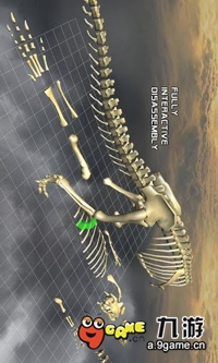 3D骨骼拆解v2.2截图2