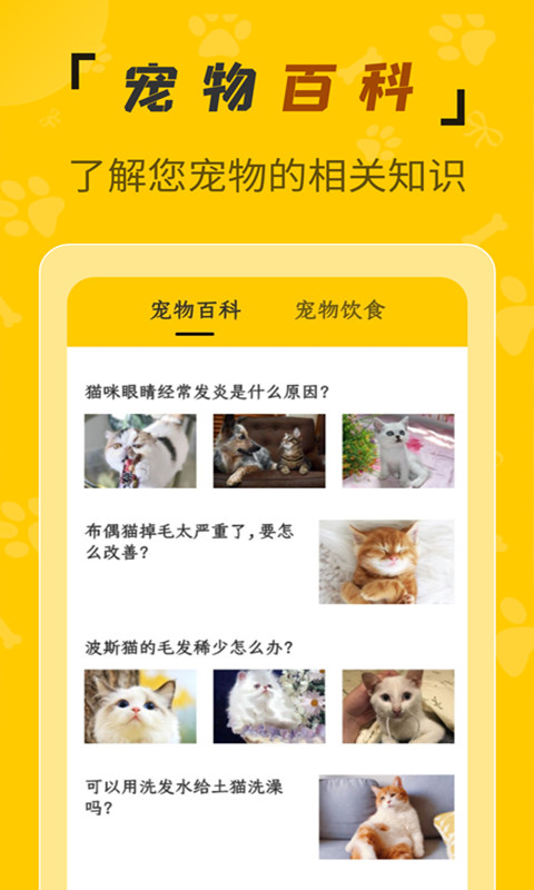 人猫翻译机v1.1.7截图3