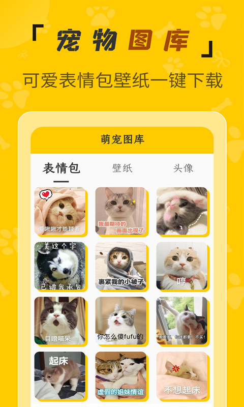 人猫翻译机v1.1.7截图1