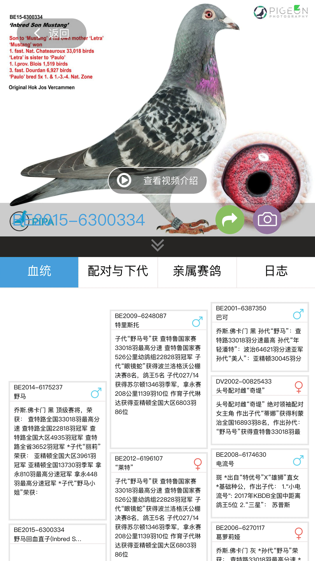 赛鸽云v5.0.5截图3