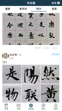 漢字書(shū)法字典截圖