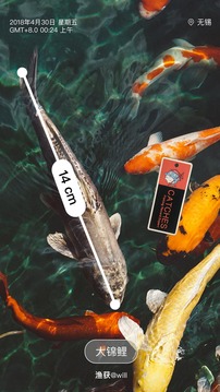 漁獲截圖