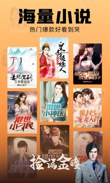 洋蔥免費(fèi)小說截圖