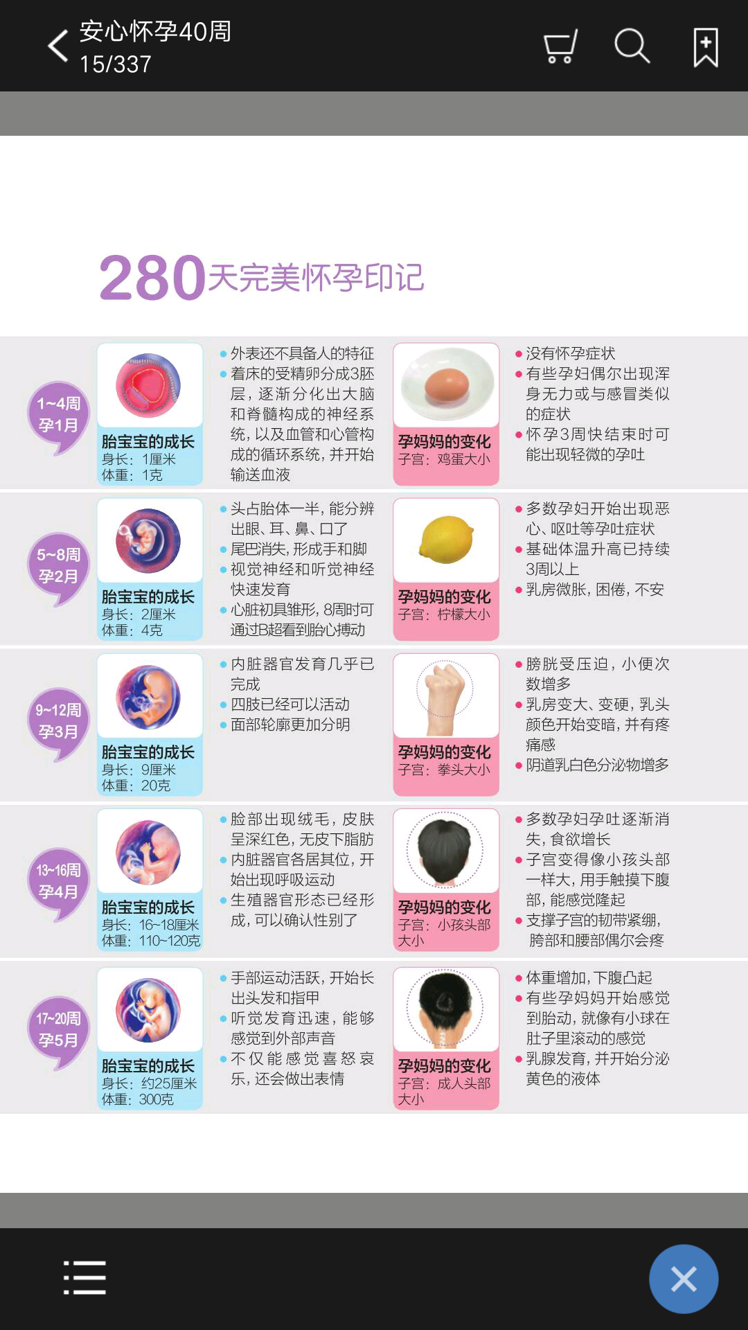 安心怀孕40周截图2