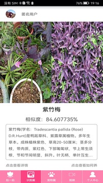 拍照識物截圖