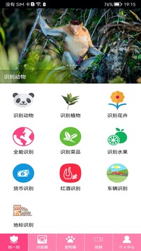 拍照識物截圖