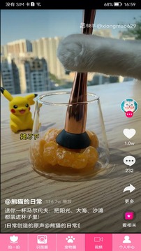 拍照識物截圖