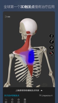维萨里3D解剖截图