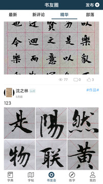 汉字书法字典应用截图3