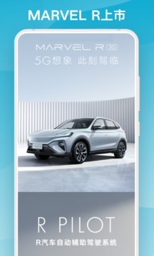 R汽車截圖