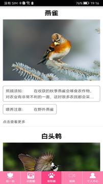 拍照識物截圖