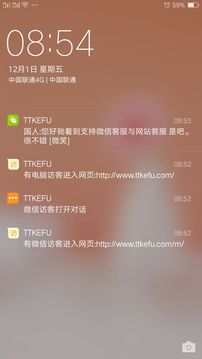 ttkefu网站在线客服系统应用截图1