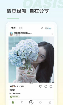 绿洲截图