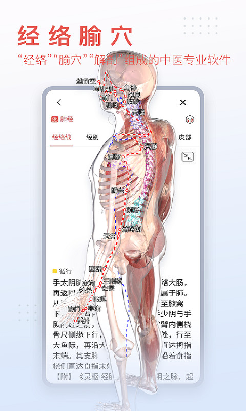 3Dbody解剖截圖預覽
