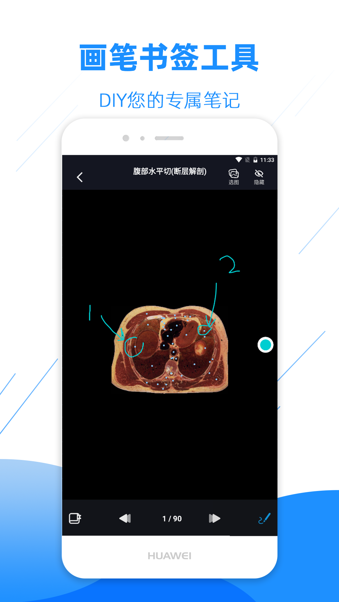 影像解剖图谱v2.8.1截图1