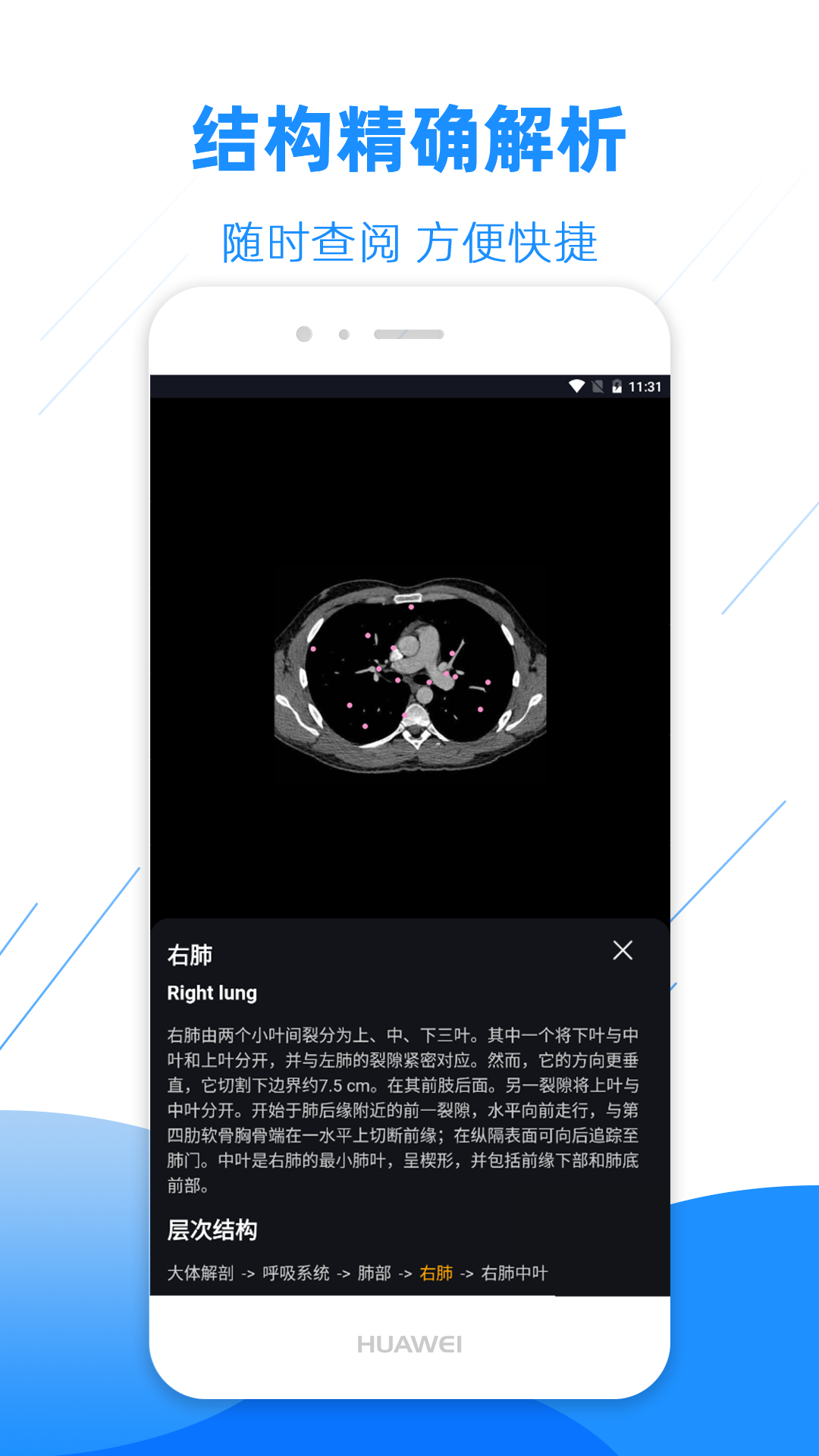 影像解剖图谱v2.8.1截图3