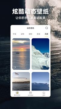 苹果壁纸应用截图4