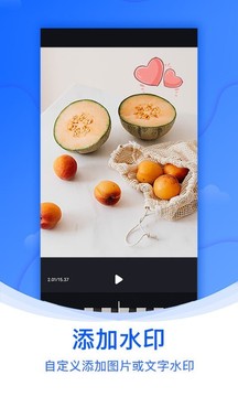水印俠截圖