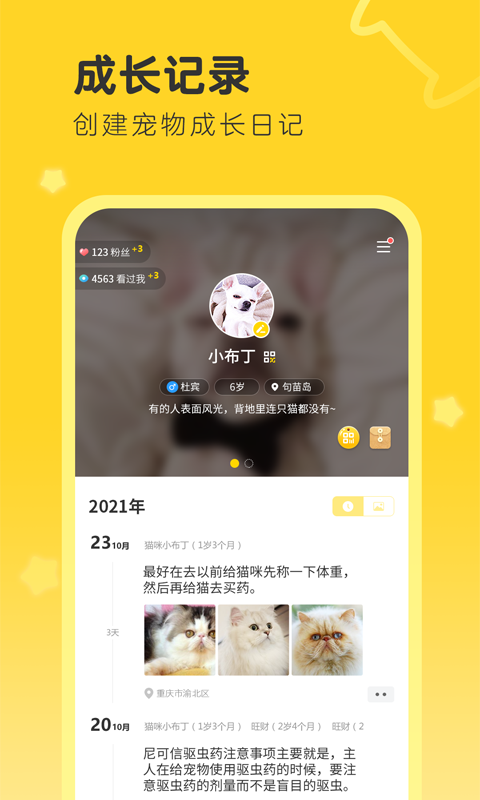 句苗島截圖預(yù)覽