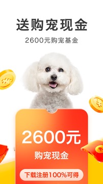 買只寵物截圖