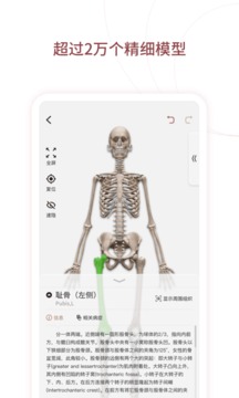 人体解剖3D截图