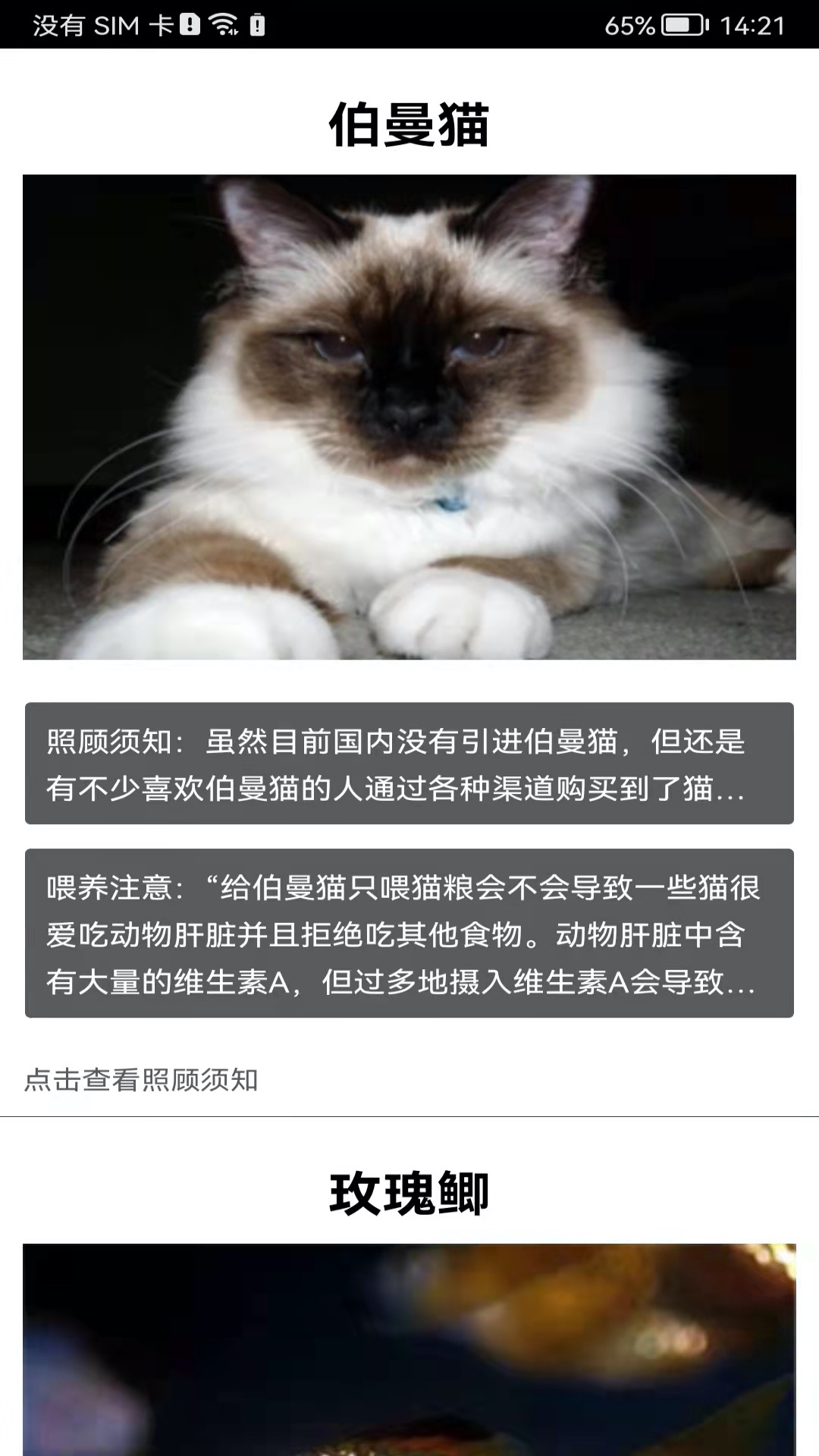 拍照識花神器截圖預(yù)覽