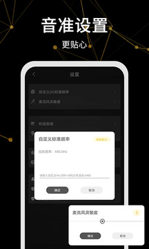 調(diào)音器極速版截圖