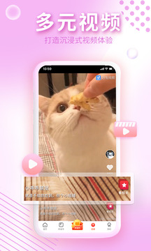 凱迪網(wǎng)截圖