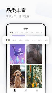 超萌鴨壁紙截圖