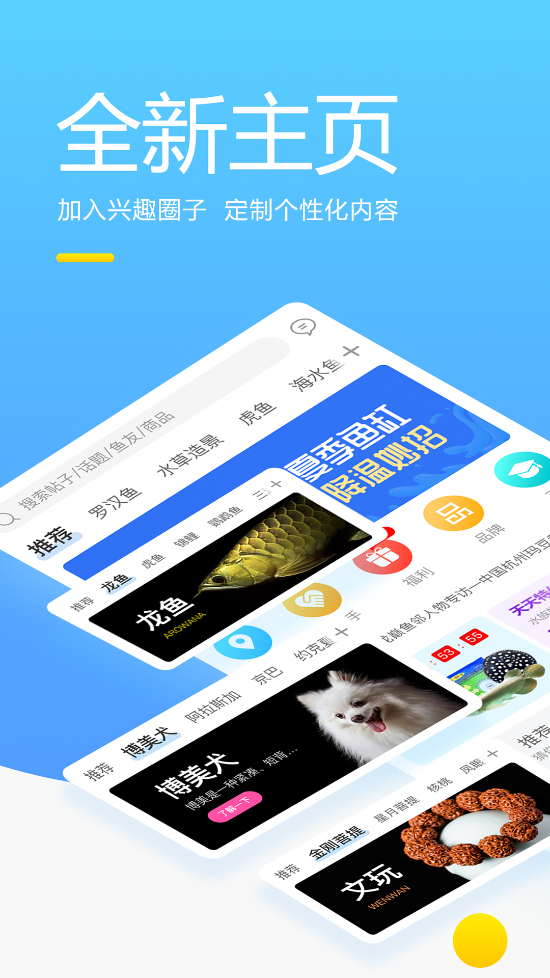 龙巅v5.1.8截图5