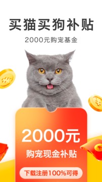 買只寵物截圖