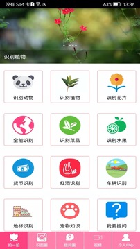 拍照識物截圖