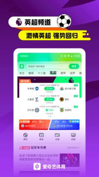 愛奇藝體育截圖